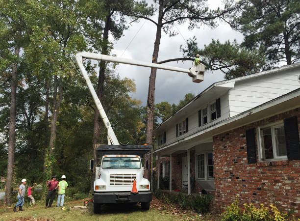 Lawn Irrigation Installation and Maintenance in North Belle Vernon, PA